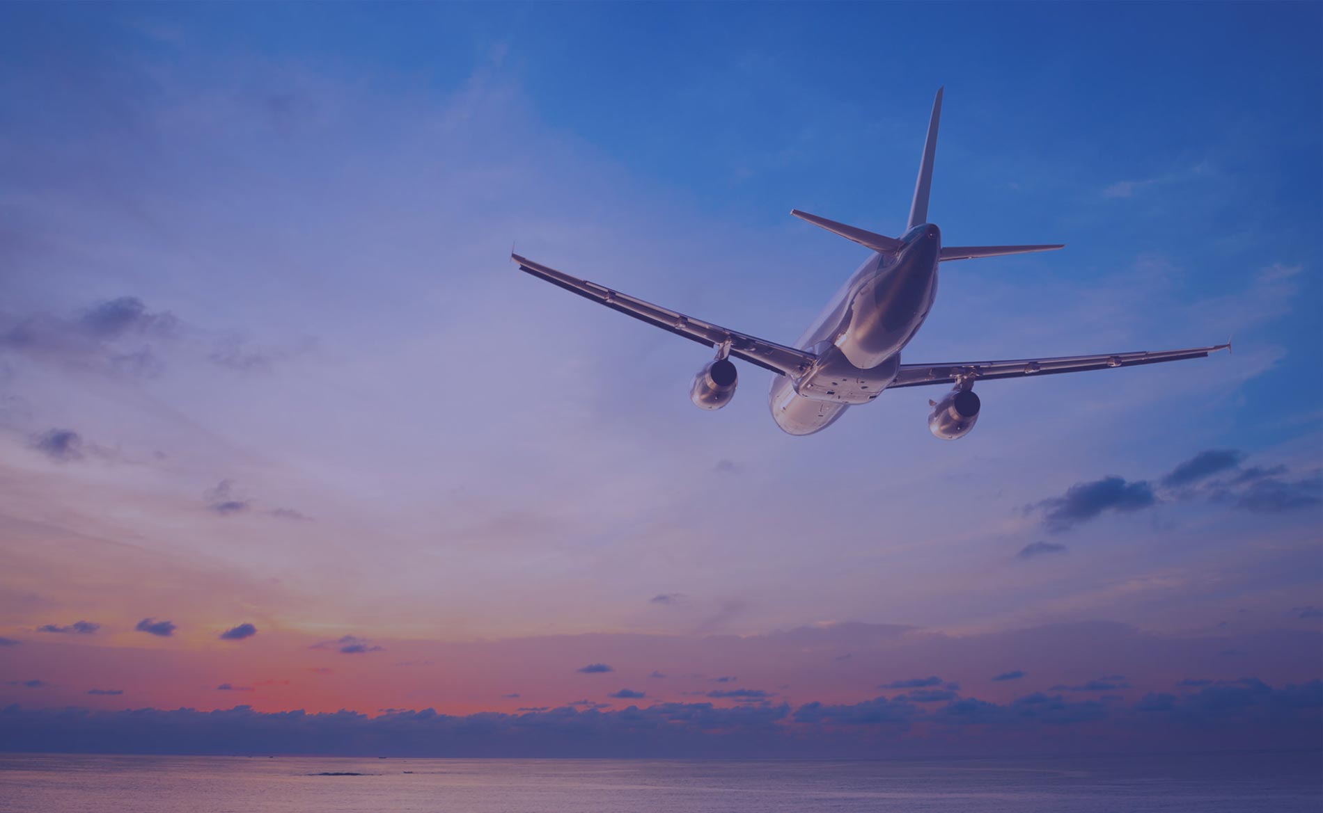 Airplane reservation21